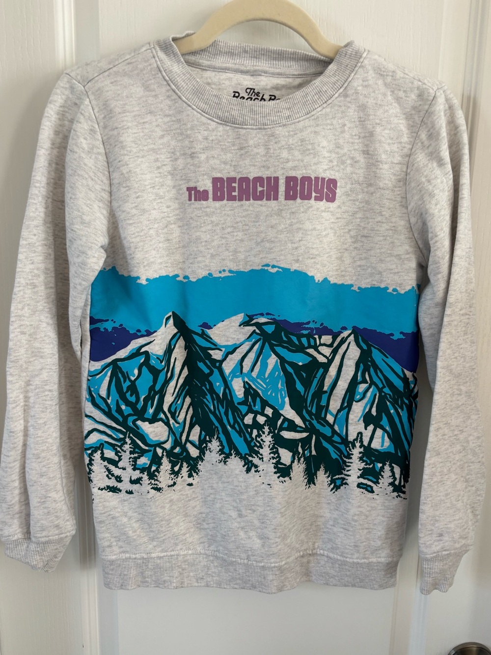 The Beach Boys Grey Mountain Graphic Sweatshirt XS